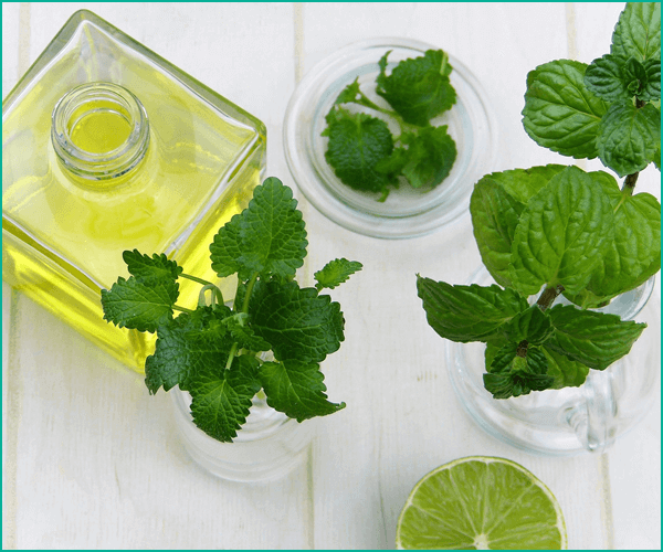 ハーブを楽しむためのポイント