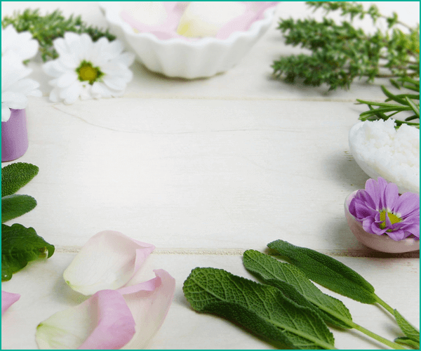 薬膳のように使えるハーブ