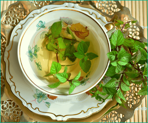 ハーブティーの作り方